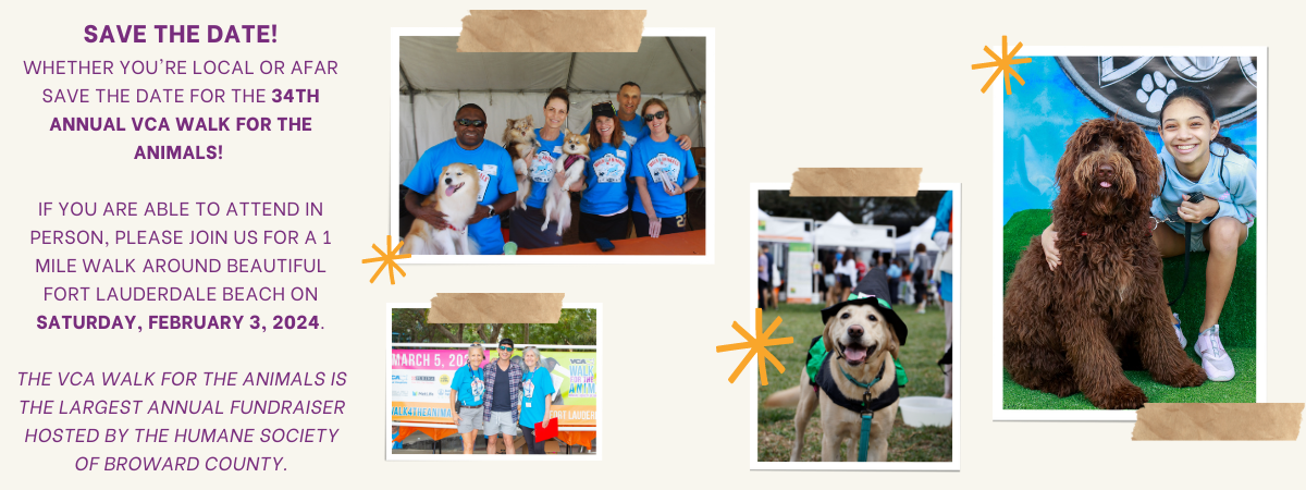 Meet the 2024 Cover Dog, Anni! (1).png