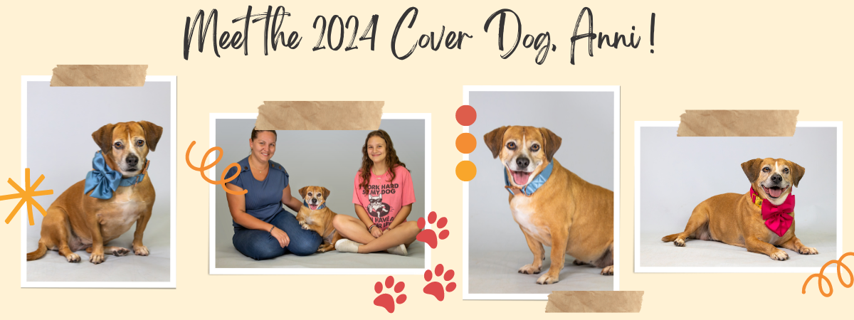Meet the 2024 Cover Dog, Anni! (2).png