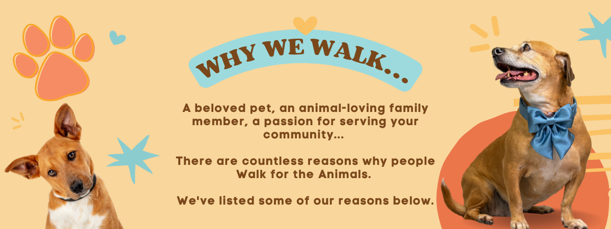 Meet the 2024 Cover Dog, Anni!.png